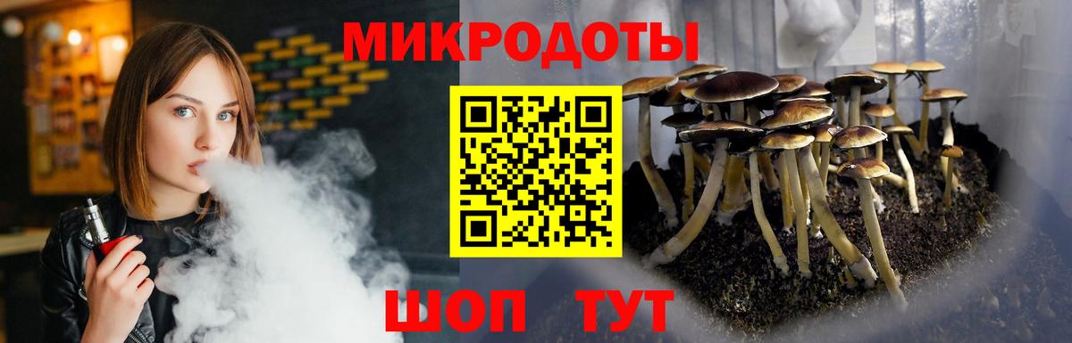 Гусев  Псилоцибиновые грибы прущие грибы  Вход с VPN  Псилоцибиновые грибы Cubensis 