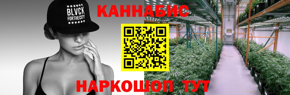 Канабис Amnesia  Бошки марихуана планчик  Вход с VPN  Гусев  Бошки марихуана тримм 